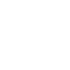 logo white